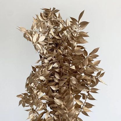 Dried Ruscus Flower Bunch - Home Decor