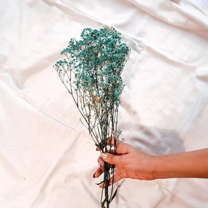 Dried Baby's Breath Flowers Bunch