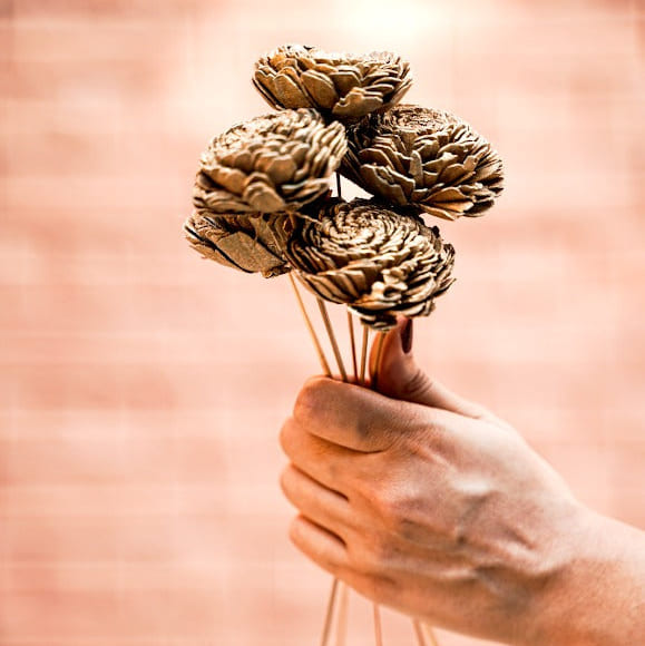 Golden Sola Dried Flower - Home Decor