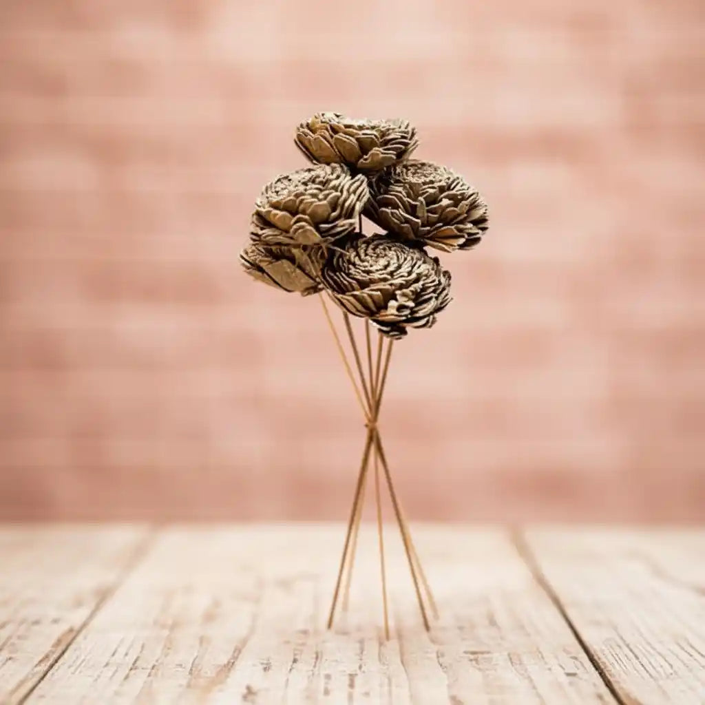 Golden Sola Dried Flower - Home Decor