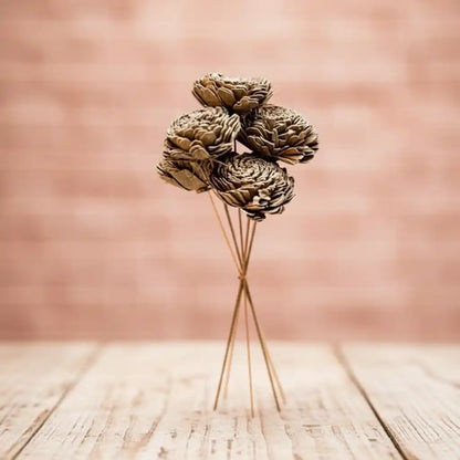 Golden Sola Dried Flower - Home Decor