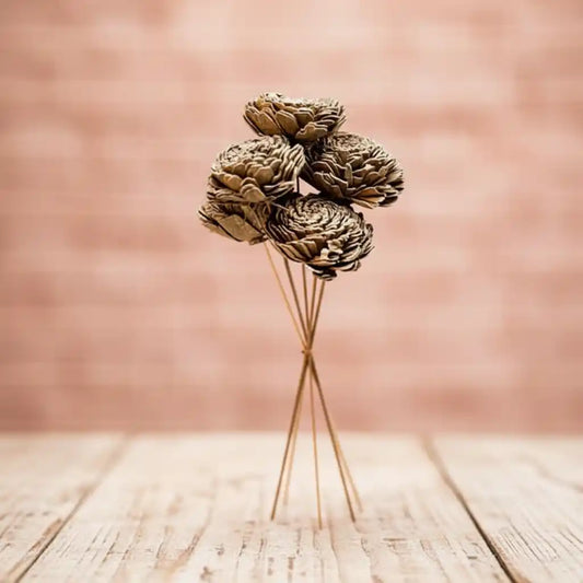 Golden Sola Dried Flower - Home Decor