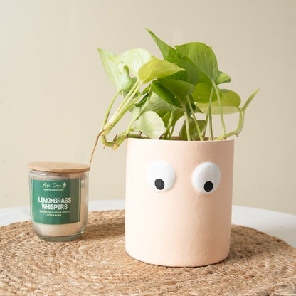 Face Art Ceramic Planter Pot - Beige Indoor Decor