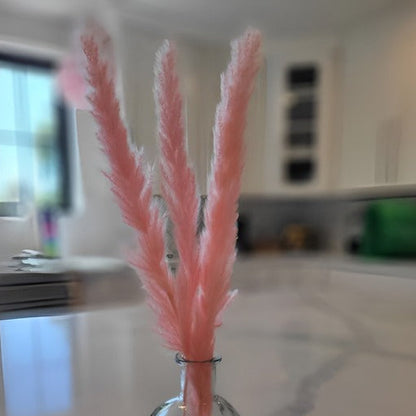 Mini Pampas Grass Stems - 10 Stems