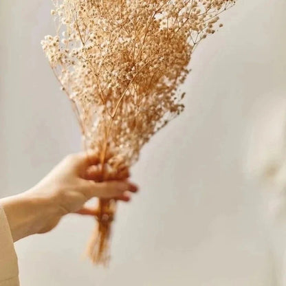 Dried Baby's Breath Flowers Bunch