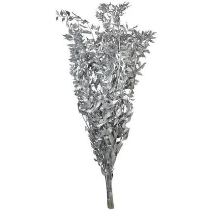 Dried Ruscus Flower Bunch - Home Decor
