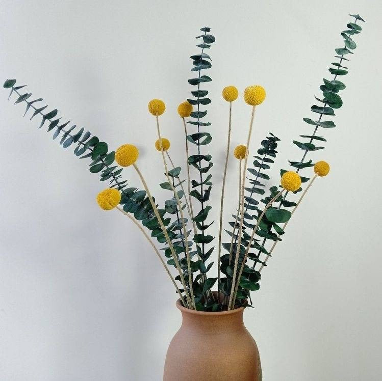 Billy Ball & Eucalyptus Dried Flower Bunch Decor