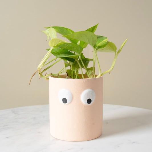 Face Art Ceramic Planter Pot - Beige Indoor Decor