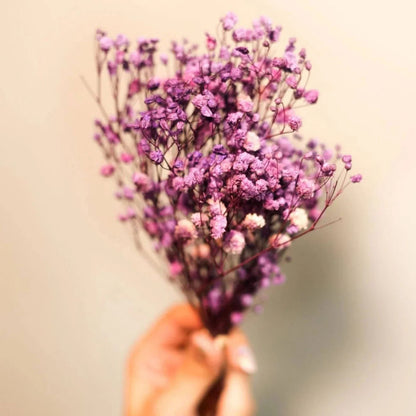 Dried Baby's Breath Flowers Bunch