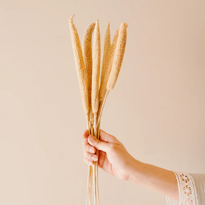 Dried Bazra Mini Sticks - Rustic Home Decor