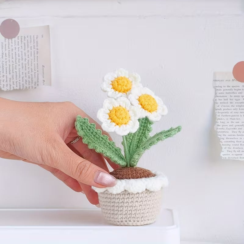 Crochet Flower with Pots - Home Decor - Daisy