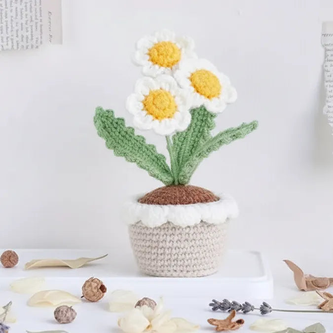 Crochet Flower with Pots - Home Decor - Daisy