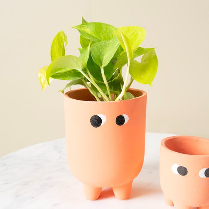 Aesthetic Face Design Ceramic Pots - Set of 2