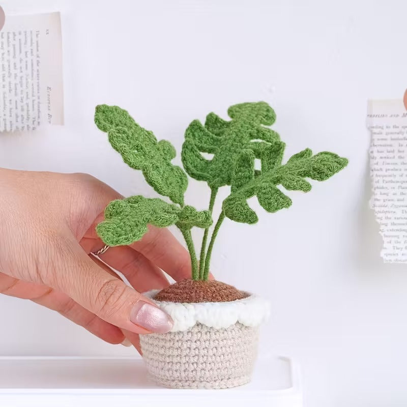 Crochet Flower with Pots - Home Decor - Monsterra