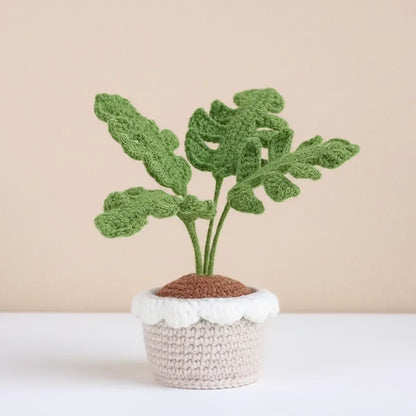 Crochet Flower with Pots - Home Decor - Monsterra