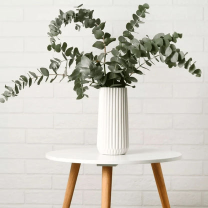 Natural Dried Eucalyptus Stems - Set of 5 Stems - Home Decor