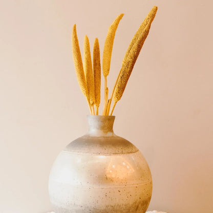 Dried Bazra Mini Sticks - Rustic Home Decor