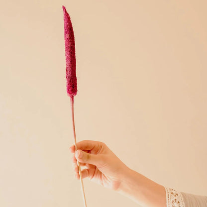 Dried Bazra Mini Sticks - Rustic Home Decor