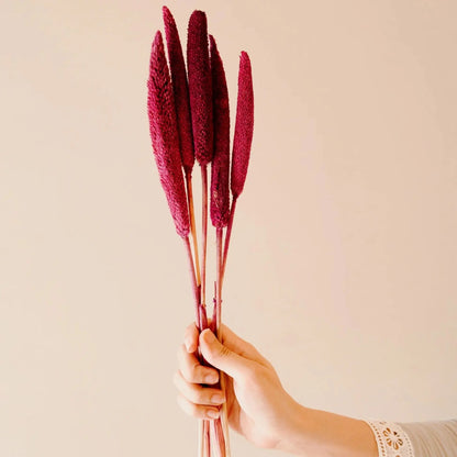 Dried Bazra Mini Sticks - Rustic Home Decor
