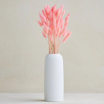 Natural Bunny Tail Dried Flowers for Home Decor