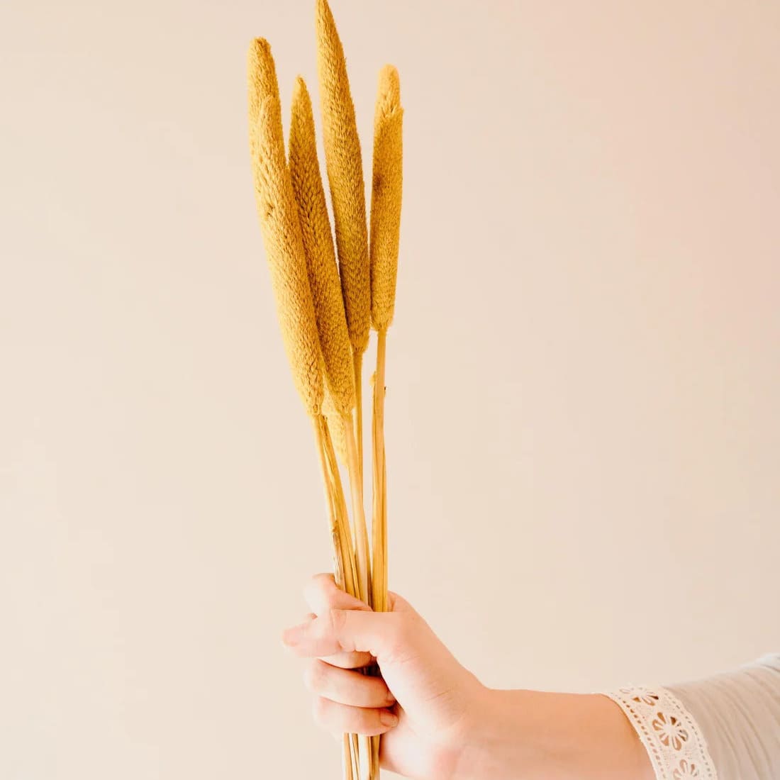 Dried Bazra Mini Sticks - Rustic Home Decor