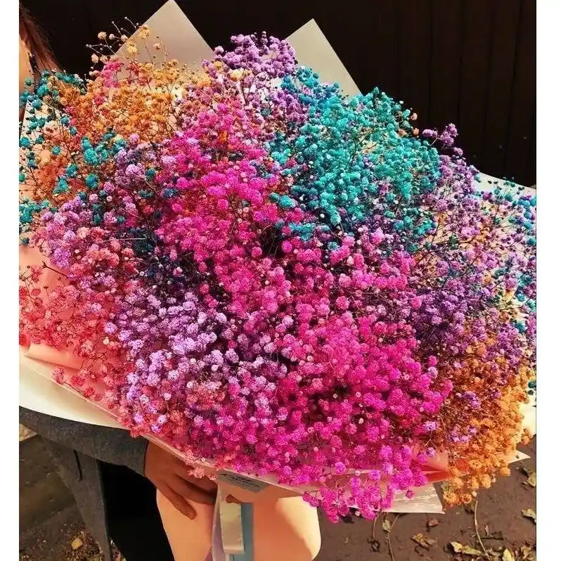 Colourful Baby Breath Dried Flowers Bunch Decor