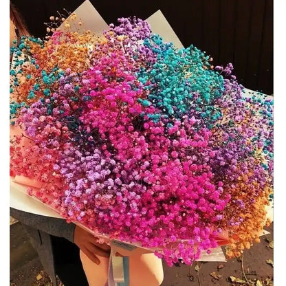 Colourful Baby Breath Dried Flowers Bunch Decor