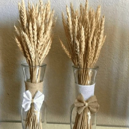 Dried Wheatgrass Flowers - Natural Decor