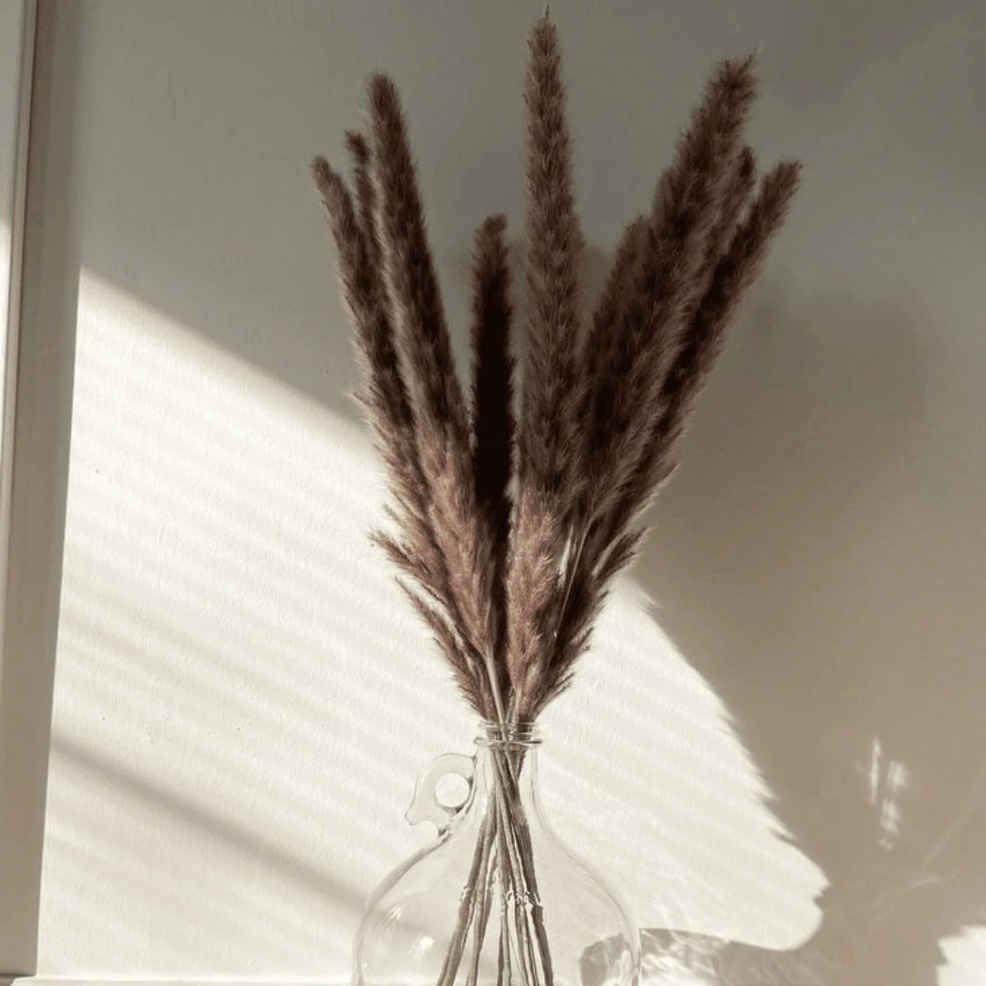 Mini Pampas Grass Stems - 10 Stems
