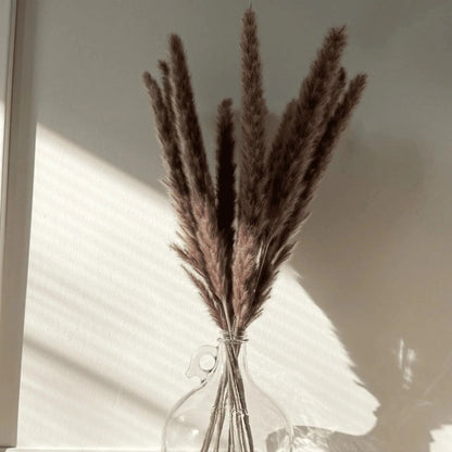 Mini Pampas Grass Stems - 10 Stems