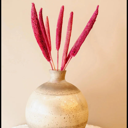 Dried Bazra Mini Sticks - Rustic Home Decor