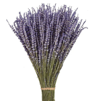 Natural Dried Fragrance Lavender Flower Bunch - 40 Stems