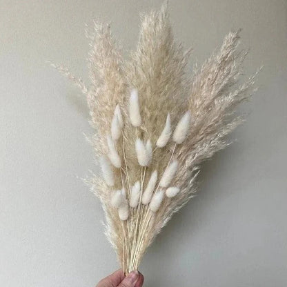 White Pampas Grass & Bunny Tail Dried Flower Bunch