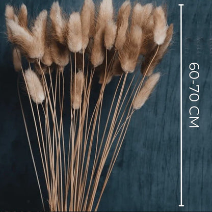 Brown Dried Bunny Tail Flowers - Vase Filler Decor