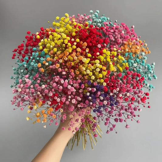 Colourful Baby Breath Dried Flowers Bunch Decor