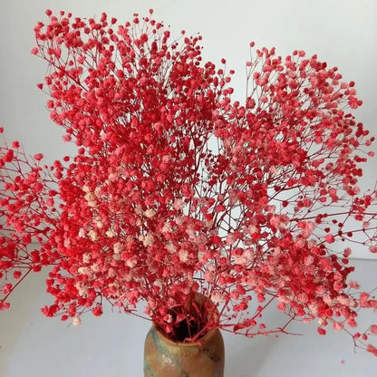 Naturally Dried Baby's Breath Flowers - Home Decor