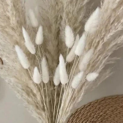 White Pampas Grass & Bunny Tail Dried Flower Bunch