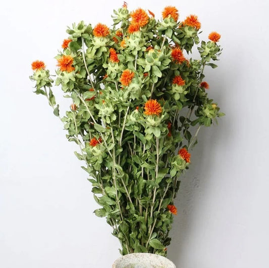 Dried Safflower Flower Bunch - Natural Home Decor