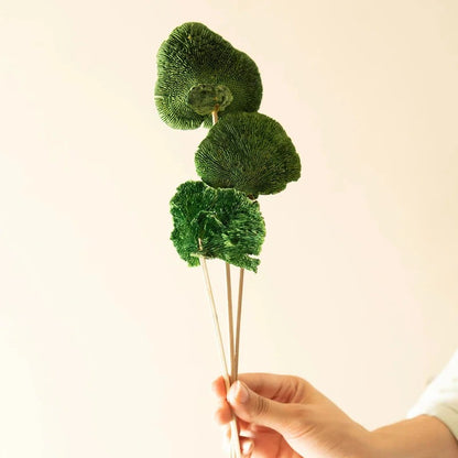 Sponge Mushroom Dried Flower Home Decor