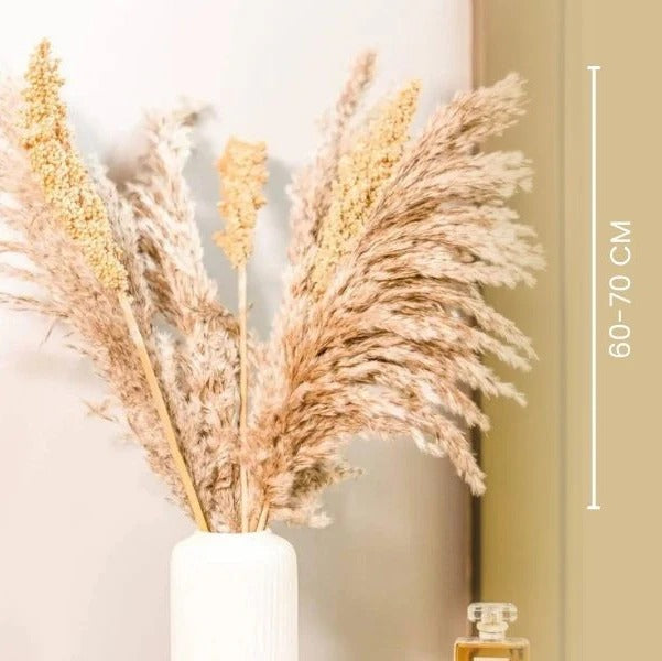Natural Dried Pampas Corn Bunch for Home Decor