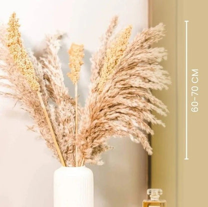 Natural Dried Pampas Corn Bunch for Home Decor