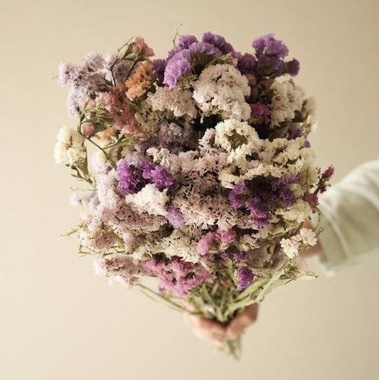 Colourful Statice Dried Flower Bunch
