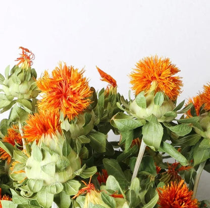Dried Safflower Flower Bunch - Natural Home Decor