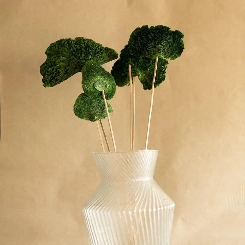 Sponge Mushroom Dried Flower Home Decor
