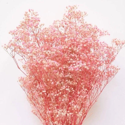 Pastel Pink Baby Breath Dried Flower Stems Decor