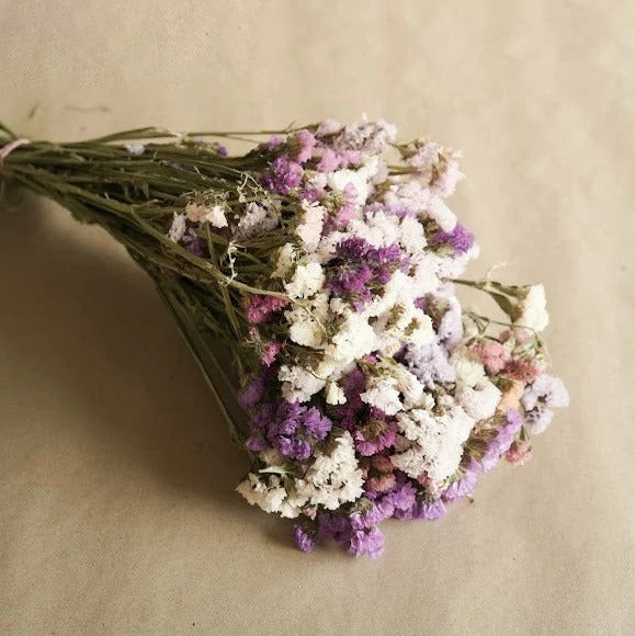 Colourful Statice Dried Flower Bunch