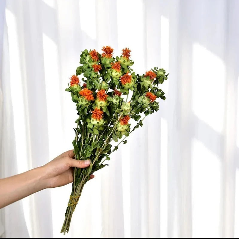Dried Safflower Flower Bunch - Natural Home Decor
