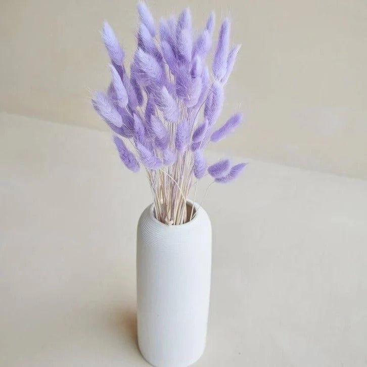 Dried Bunny Tail Bunch - Colorful Decor