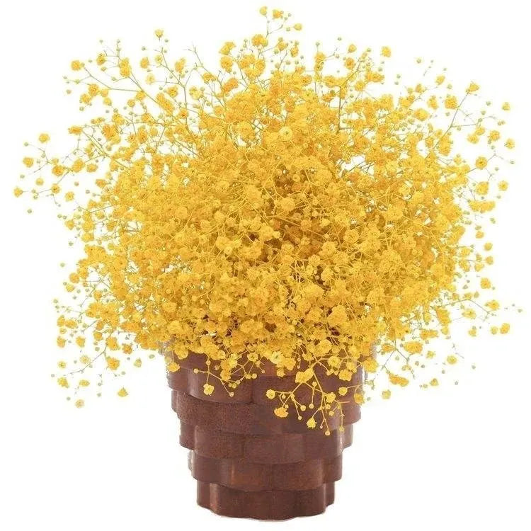 Naturally Dried Baby's Breath Flowers - Home Decor