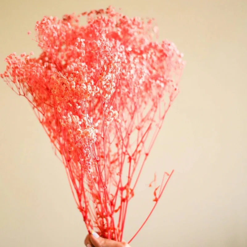 Pastel Pink Baby Breath Dried Flower Stems Decor